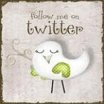 Follow Twitter Passport Follow Twitter Passport